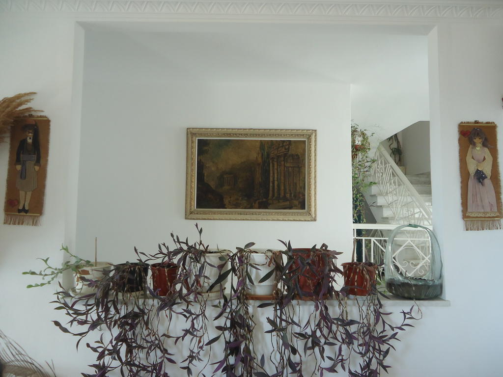פיתגוריו Zorbas Hotel מראה חיצוני תמונה